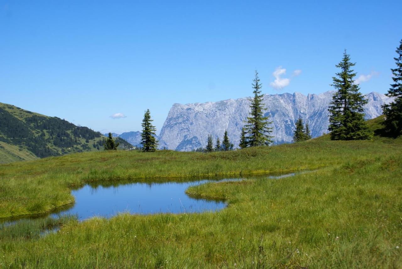 Das Sonneck Muhlbach Am Hochkonig Bagian luar foto