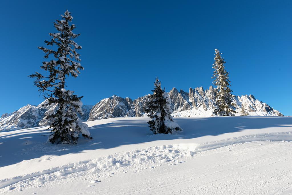 Das Sonneck Muhlbach Am Hochkonig Bagian luar foto